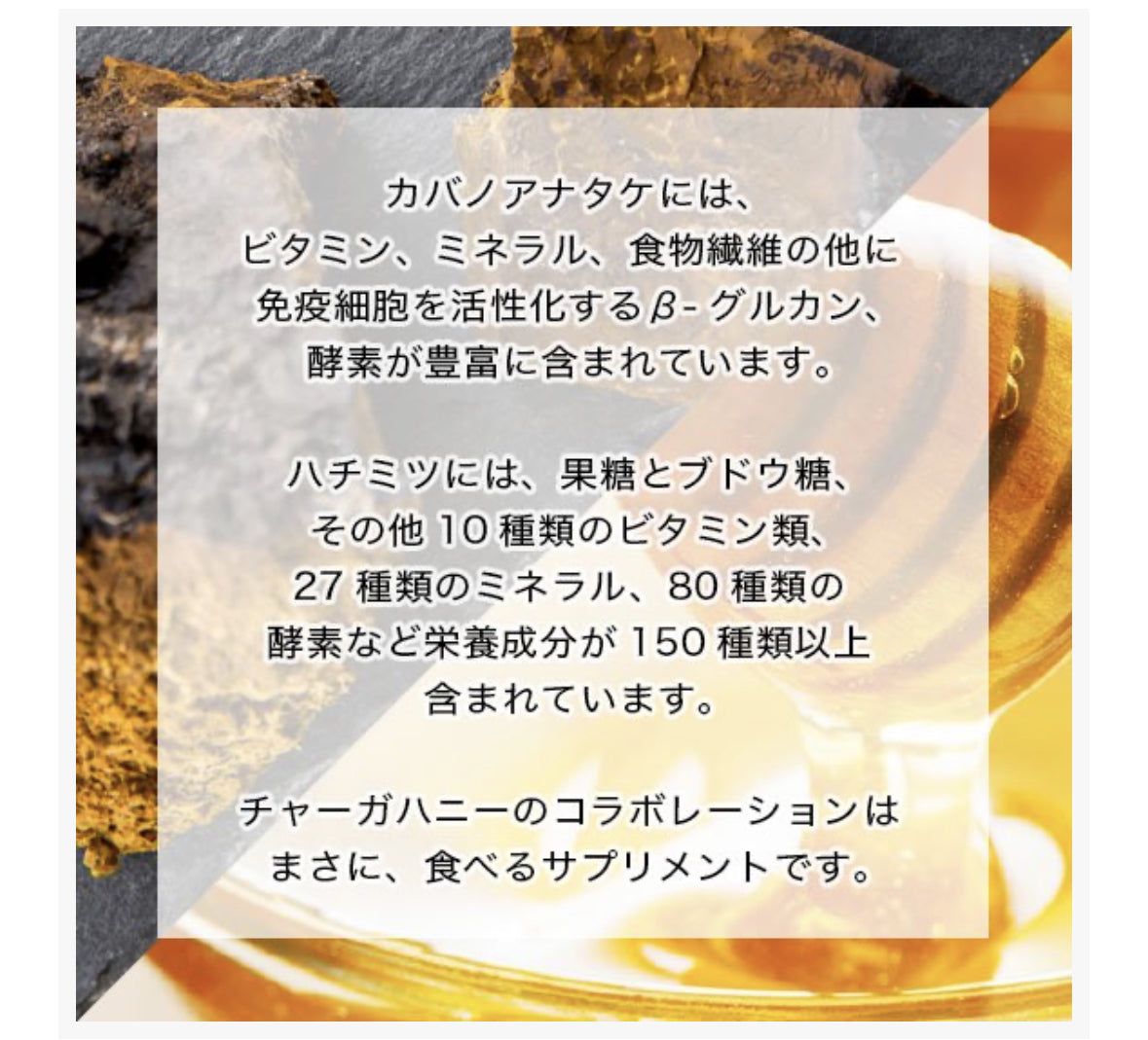 【pluscare】CHAGA HONEY 102g/チャーガハニー