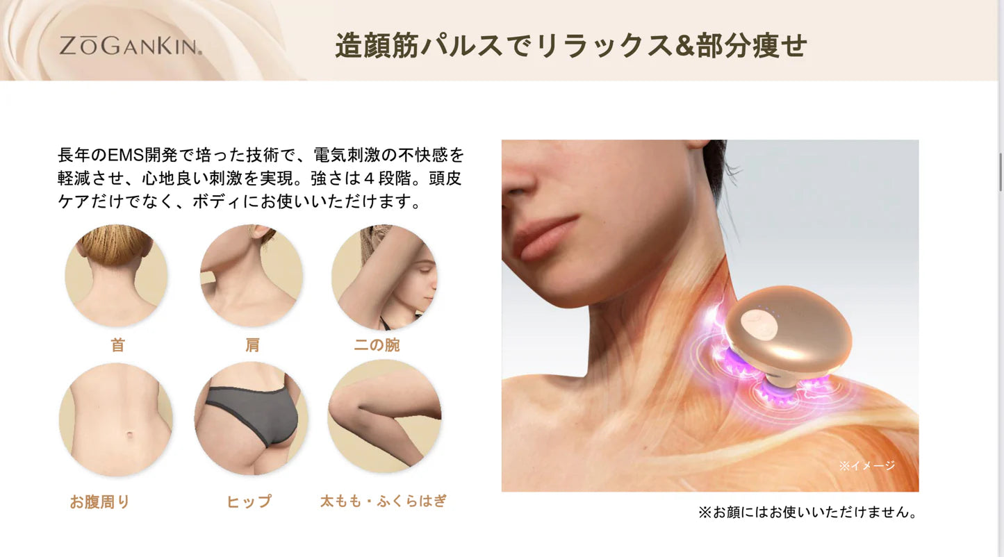 【Couleur LABO】ゾーガンキン