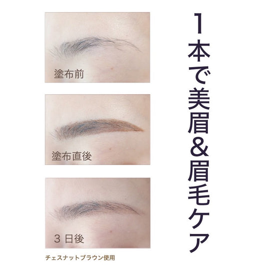 【Herb Tanning Eyebrow】【落ちない眉毛】ハーブタンニング　ティント
