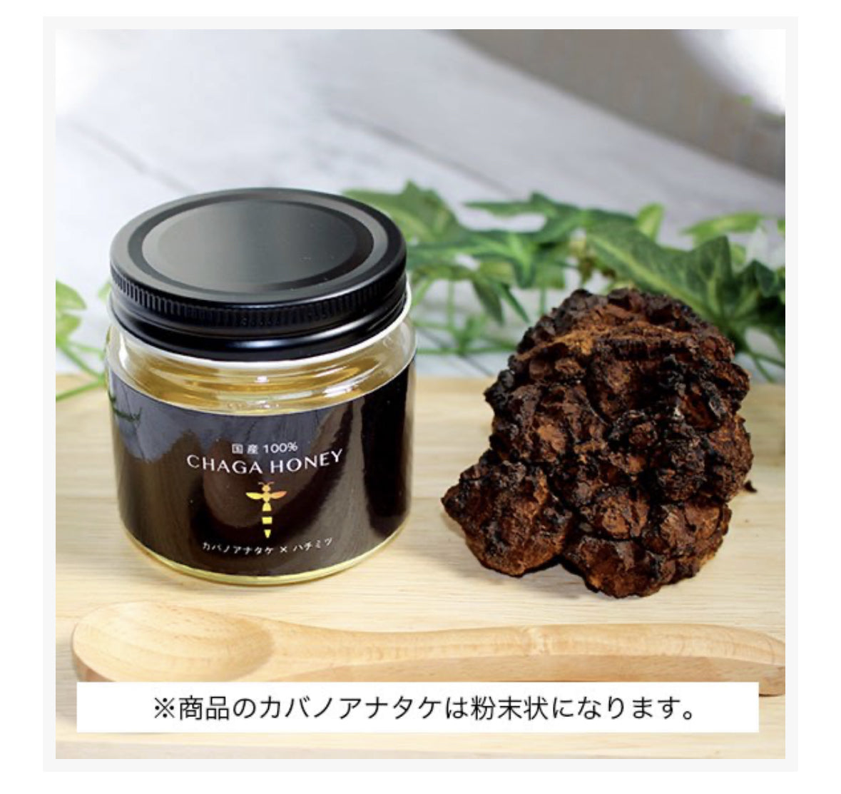【pluscare】CHAGA HONEY 102g／チャーガハニー