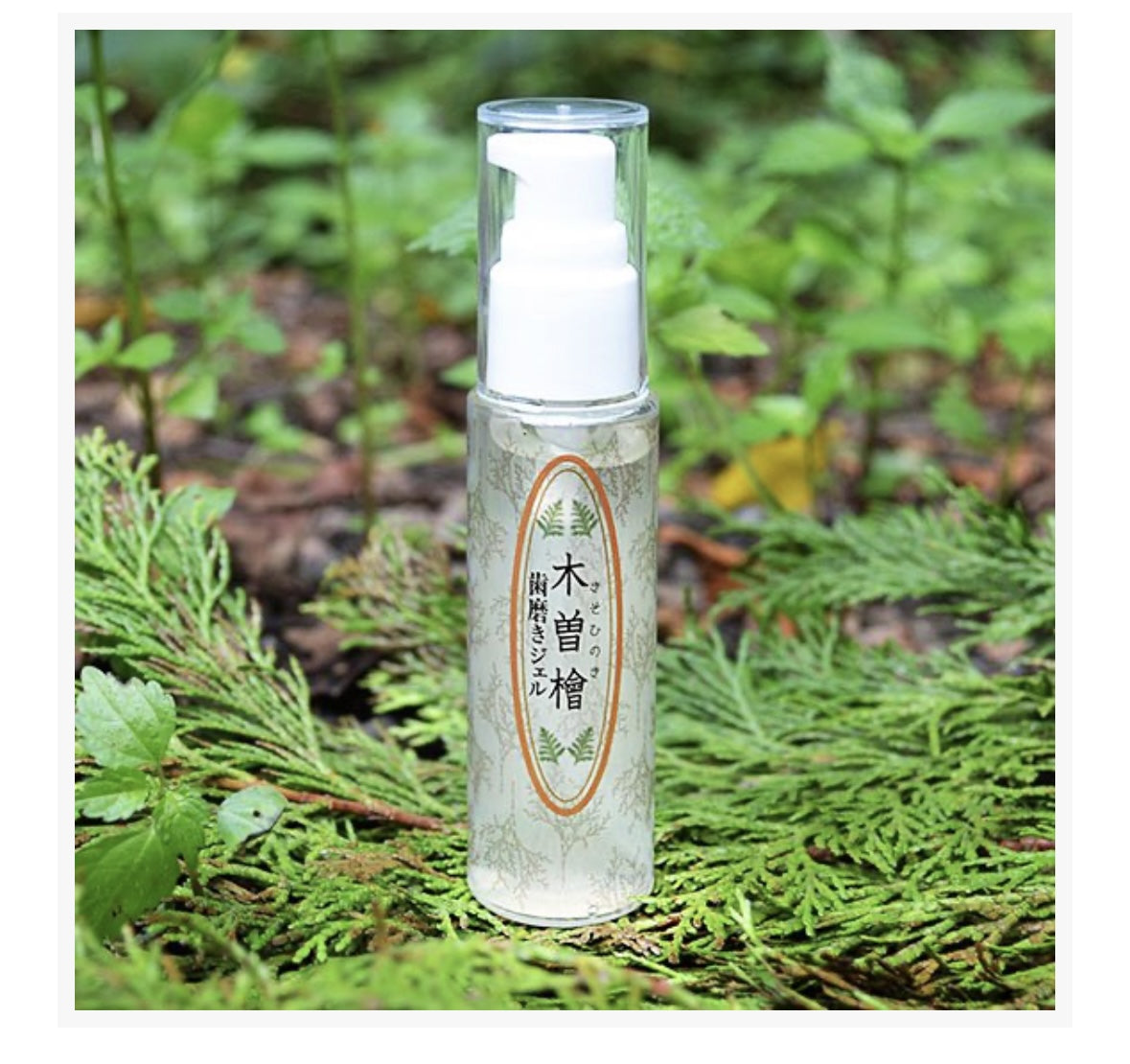 【pluscare】木曽檜歯磨きジェル50g