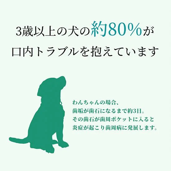 【Pluscare】ペット用木曽檜歯磨きジェル120g
